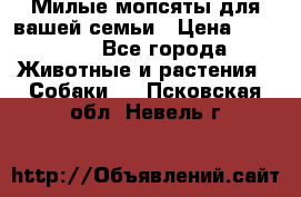Милые мопсяты для вашей семьи › Цена ­ 20 000 - Все города Животные и растения » Собаки   . Псковская обл.,Невель г.